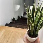 Jz Loft With Parking And Self Check In * Любляна