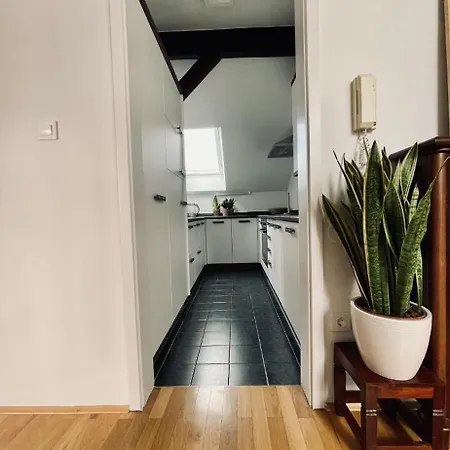 Jz Loft Ljubljana With Parking And Self Check In Apartamento *